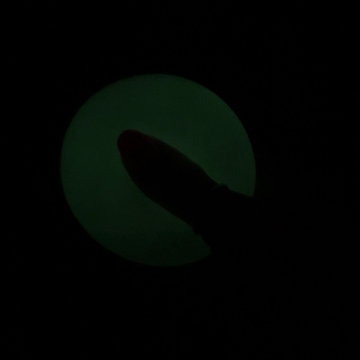 Squish Attack Glow Ball